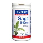 Lamberts Sage 2500 mg 90 Tabs
