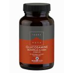 Terra Nova Glucosamine, Boswellia & MSM Compex 50 Veg Caps