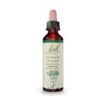 Bach Centaury Ανθοΐαμα 20 ml