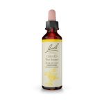 Bach Cerato Ανθοΐαμα 20 ml