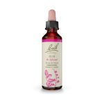 Bach Elm Ανθοΐαμα 20 ml