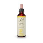 Bach Gorse Ανθοΐαμα 20 ml