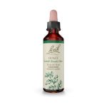 Bach Holly Ανθοΐαμα 20 ml