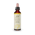 Bach Hornbeam Ανθοΐαμα 20 ml