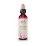 Bach Larch Ανθοΐαμα 20 ml