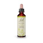 Bach Mustard Ανθοΐαμα 20 ml