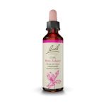 Bach Oak Ανθοΐαμα 20 ml