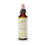 Bach Olive Ανθοΐαμα 20 ml