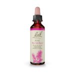 Bach Pine Ανθοΐαμα 20 ml