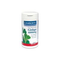 Lamberts Ginkgo Biloba Extract 6000mg 30 ταμπλέτες