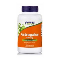Now Astragalous 500mg 100 Capsules