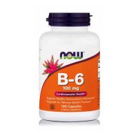 Now B-6 100mg 100 Capsules