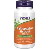 Now Astragalous Extract 500mg 90 Capsules