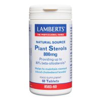 Lamberts Plant Steroles 800mg Φυτικές Στερόλες 60 tabs