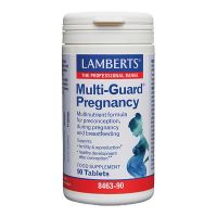 Lamberts Multi-Guard Pregnacy 90 tabs
