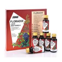Floradix Liquid Iron Formula 10x20 ml