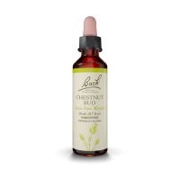 Bach Chestnut Bud Ανθοΐαμα 20 ml