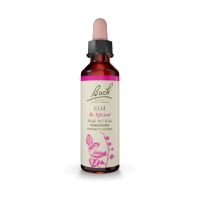 Bach Elm Ανθοΐαμα 20 ml