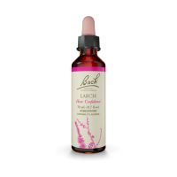 Bach Larch Ανθοΐαμα 20 ml