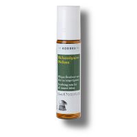 Korres Μελισσόχορτο Roll-On Μείγμα Βοτάνων για Όλα τα Τσιμπήματα 15 ml