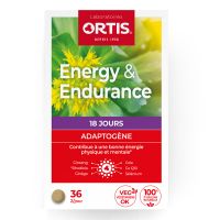 Ortis Energy & Endurance Fortifiant για τη Διατήρηση της Ενέργειας & της Ζωτικότητας 36 δισκία