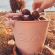 Scrunch Bucket Κουβαδάκι Άμμου από Ανακυκλώσιμα Υλικά Dusty Rose 1τμχ