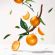 Roger & Gallet Bois d' Orange Αρωματικό Σαπούνι 100 gr