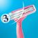 Gillette Venus Simply Basic Ξυραφάκια μιας Χρήσης 4 τμχ