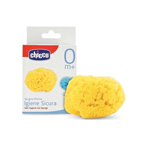 Chicco Safe Hygiene Sea Sponge 0m+ Medium 1pc