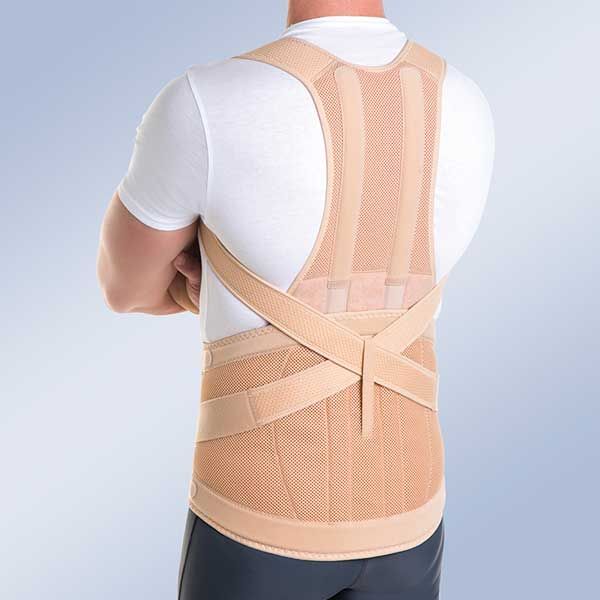 Orliman Modular Dorso-Lumbar T.Taylor Orthosis