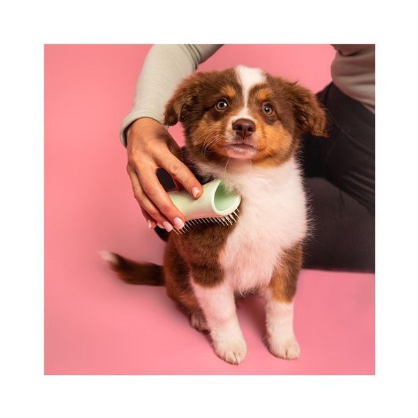 PET TEEZER Puppy Brush Green Βούρτσα Καλλωπισμού για Κουτάβια