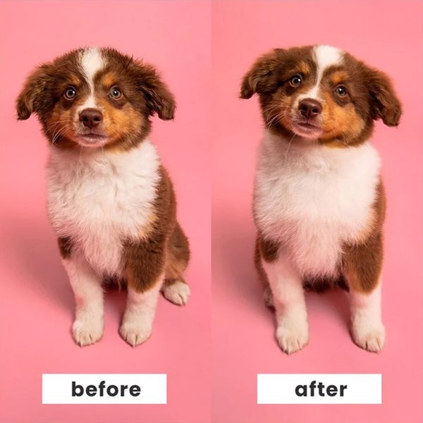 PET TEEZER Puppy Brush Green Βούρτσα Καλλωπισμού για Κουτάβια
