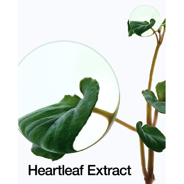 Korean Anua Heartleaf 77% Pore Control Cleansing Oil 200 ml