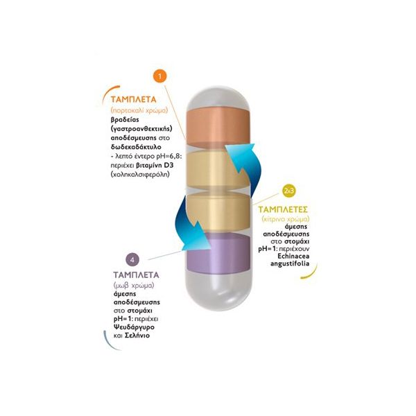 Frezyderm Immuno Defence Συμπλήρωμα Διατροφής για την Ενίσχυση του Ανοσοποιητικού 30 caps