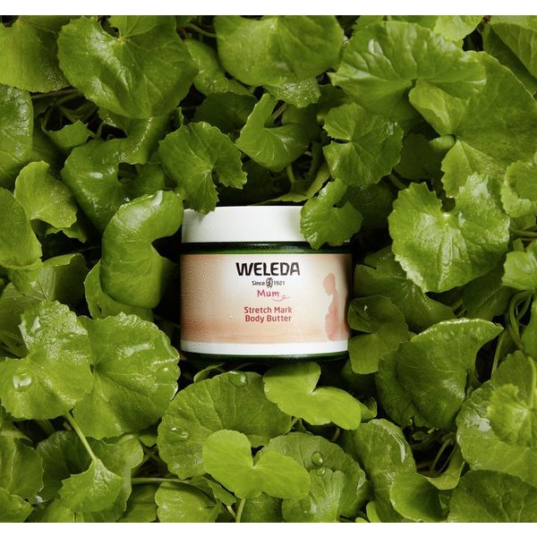 Weleda Mama Stretch Mark Body Butter Nourishing Care για Ραγάδες 150 ml