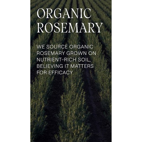 Weleda Rosemary + Hyaluron Revitalising Τονωτικό Σαμπουάν με Δεντρολίβανο και Υαλουρονικό Οξύ 250 ml