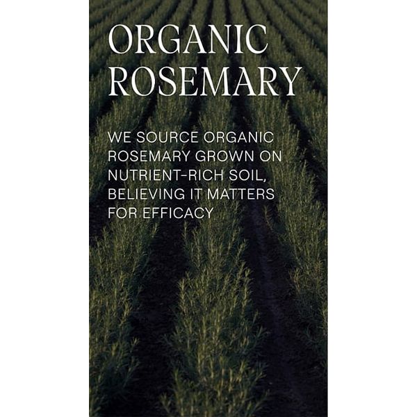 Weleda Rosemary + Hydrolyzed Protein Revitalising Τονωτικό Conditioner με Δεντρολίβανο 150 ml