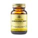 Solgar Full Potency Herbs Dandelion Root (Taraxacum Officinale) 100 Φυτικές Κάψουλες