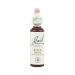 Power Health Bach Rock Rose 20ml