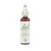 Power Health Bach Sweet Chestnut 20ml
