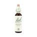 Power Health Bach Walnut 20ml