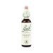 Power Health Bach Walnut 20ml