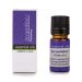 PharmaLab Essential Oil Rosemary 7ml