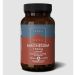 Terra Nova Beetroot Juice, Cordyceps & Reishi Pre-Workout Super-Blend 70g