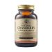 Solgar Natural Cranberry with Vitamin C 60 Φυτικές Κάψουλες