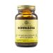 Solgar Echinacea (Echinacea Purpurea) 100 Φυτικές Κάψουλες
