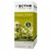 F|ECTIVE Herbal Syrup Adults Sugar Free 150ml