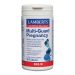 Lamberts Multi-Guard Pregnacy 90 tabs