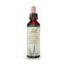 Bach Agrimony Ανθοΐαμα 20 ml