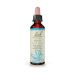 Bach Beech Ανθοΐαμα 20 ml